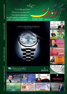 Issue 153